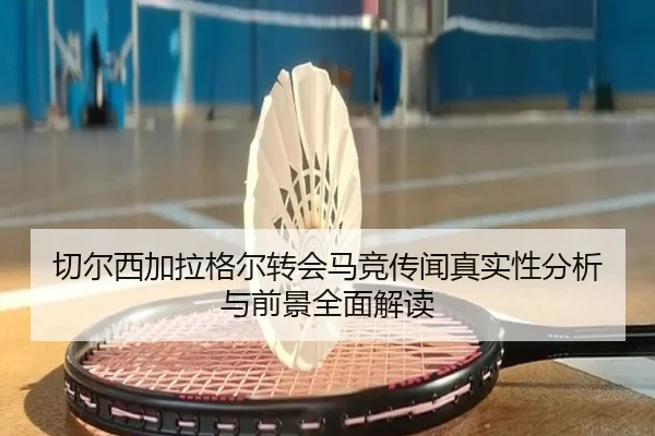 切尔西加拉格尔转会马竞传闻真实性分析与前景全面解读