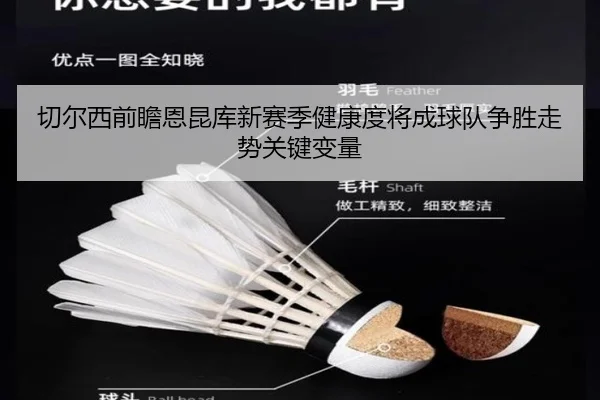 切尔西前瞻恩昆库新赛季健康度将成球队争胜走势关键变量